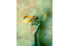 Photo of Amy Kay Photo of Amy Kay