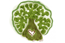 Photo of Tracy Lough Photo of Tracy Lough